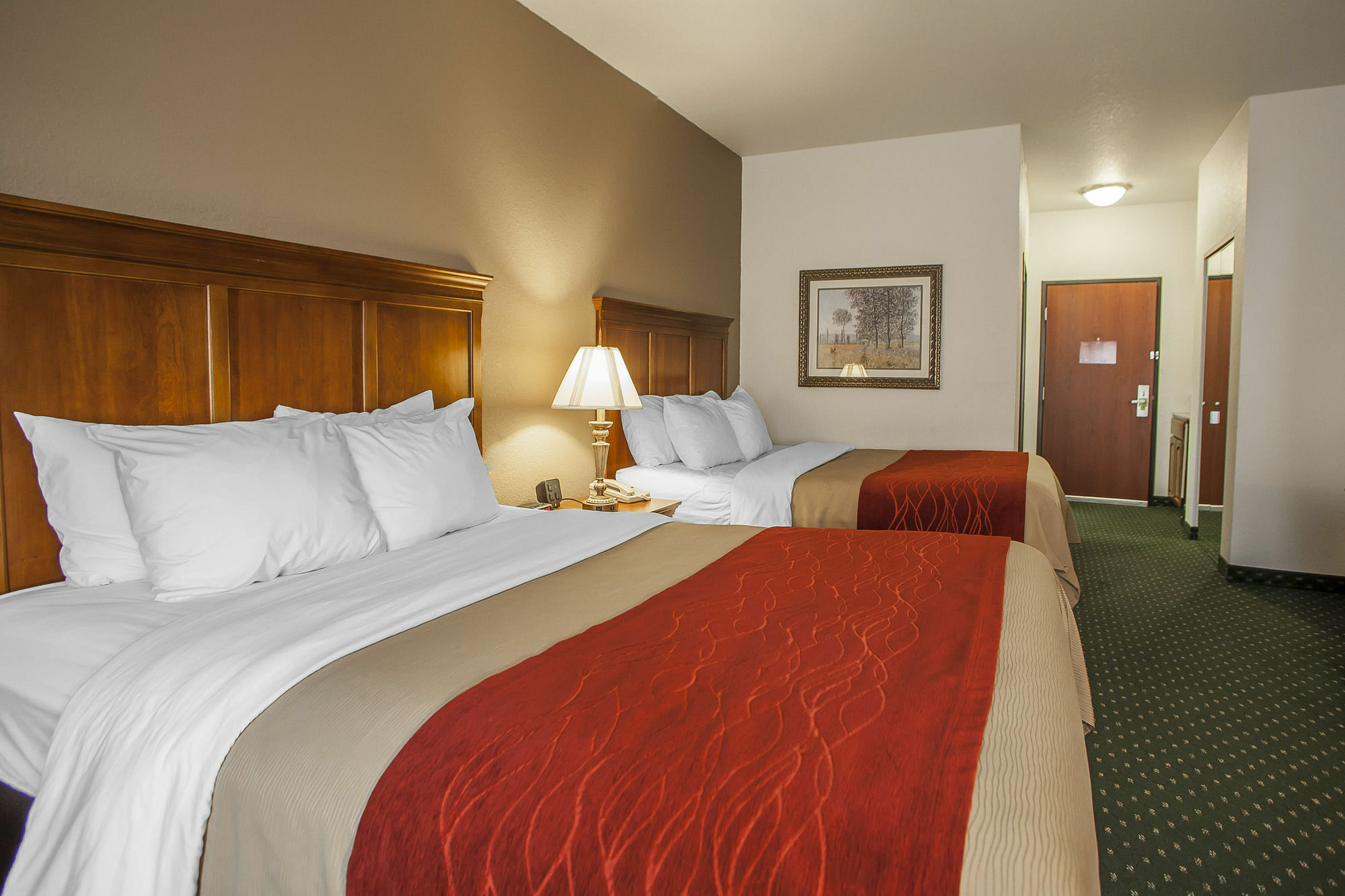 Comfort Inn & Suites Davenport - Quad Cities מראה חיצוני תמונה
